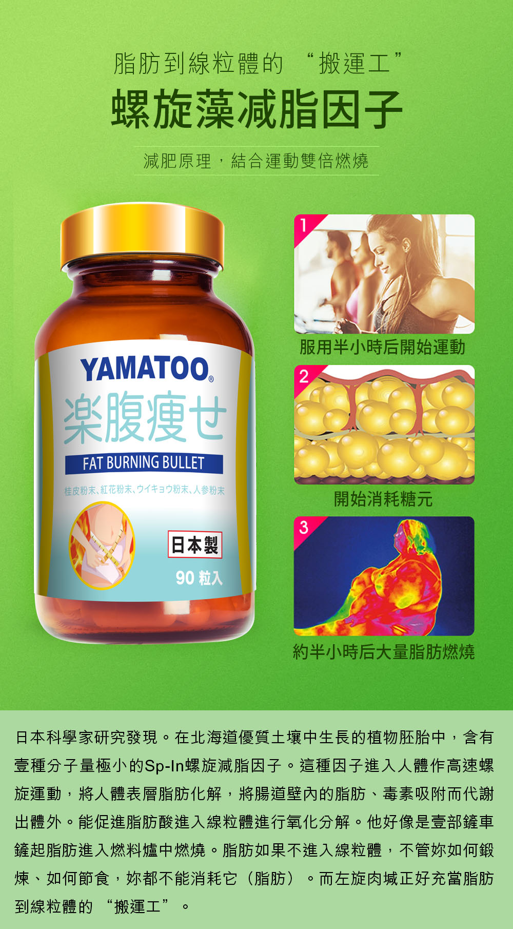 脂肪搬運工.jpg